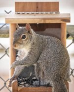 _NIK1498 low res.jpg