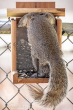 _NIK1505 low res.jpg