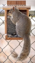 _NIK1509 low res.jpg