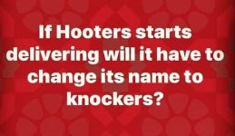 hoot.JPG