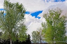 03-27-20-cr_7501986-ON1.jpg