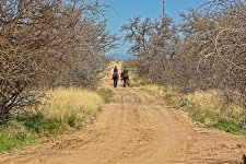 03-28-20-cr_D7K2140-ON1.jpg