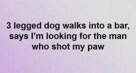 paw.JPG