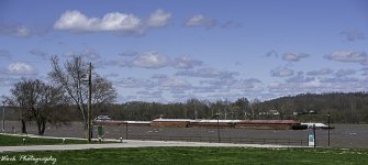 20200329-R81_3305.jpg