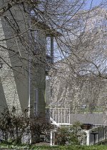 20200329-R81_3310.jpg