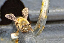 03-29-20-cr_D7K2150-ON1.jpg