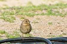 03-29-20-cr_D7K2171-ON1.jpg