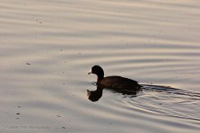 03-30-20-cr_D7K2178-ON1.jpg
