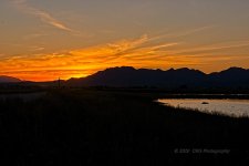 03-30-20-cr_D7K2180-ON1.jpg