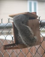 _10K2590 low res.jpg