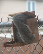 _10K2590 low res unedited.jpg