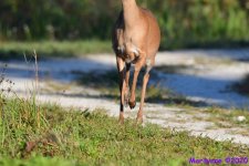 DSC_8875_001.JPG