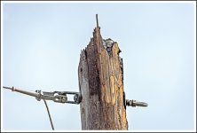 610_9108-Edit.jpg