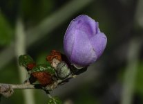 _ROY6802_01.jpg