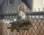 _10K2604 edit no text low res.jpg