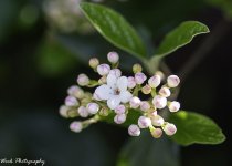 untitled (14 of 45)-Edit.jpg