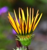 _ROY7066_00001.jpg