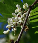 _ROY7144_00001_01.jpg