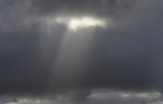 _ROY7206_00001.jpg