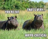 bad_puns_that_will_still_make_you_laugh_640_24.jpg