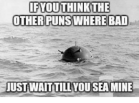 if-you-think-the-other-puns-where-bad-just-waittill-22020719.png