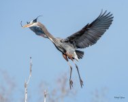 GBHFlight-533.jpg