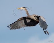 GBHFlight-536.jpg