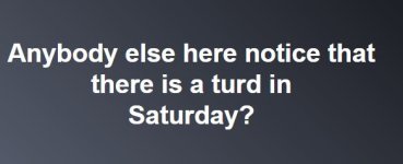 TURD.JPG