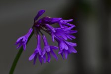 _ROY7380_00001_01.jpg