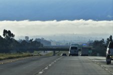 _ROY7385_00001.jpg
