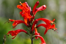 _ROY7401_00001_01.jpg
