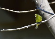 _ROY7710_00001_01.jpg
