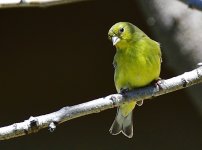 _ROY7712_00001.jpg
