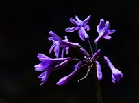 _ROY7764_00001_01.jpg