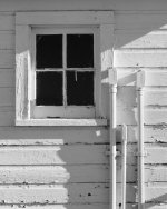 Window-501.jpg