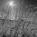 750_3256-HDR-Edit.jpg