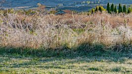 750_3114-Edit.jpg