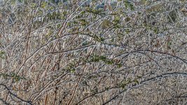 750_3130-Edit.jpg
