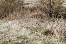 750_3185-Edit.jpg