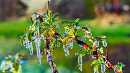 750_3196-HDR-Edit.jpg