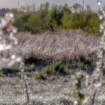 750_3316-HDR-Edit.jpg