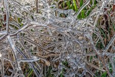 750_3341-HDR-Edit.jpg