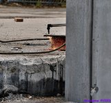 DSC_5235_001.JPG