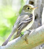 _ROY8046_00001.jpg