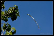 04-16-20-cr_D7K2372-ON1.jpg