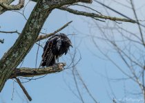 untitled (53 of 119).jpg