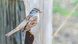 610_0103-Edit.jpg