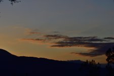 _ROY8140_00001_01.jpg