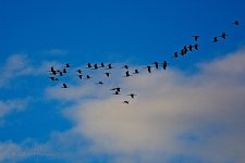 04-18-20-cr_D7K2405-ON1.jpg