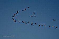 04-18-20-cr_D7K2406-ON1.jpg